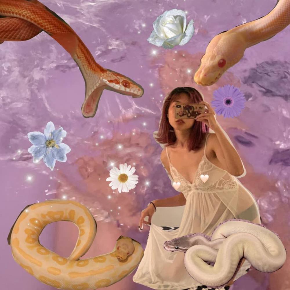 Meet your Posher, Judy